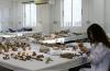 760 missing persons from Turkish invasion of 1974 remain unidentified