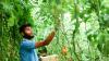 Reconciling Creation with Sustainable Development
