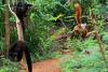 Looking for Lemurs in All the Wrong Places: A Madagascar Cruise Adventure