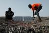 Q&A: How can African electricity access power  jobs not just lightbulbs?