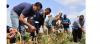 Black-eyed peas pilot project highlights food security potential in Trinidad and Tobago
