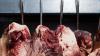 €124 million worth of beef imported into Ireland up to end of May