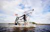 Louisiana House asks USDA to buy domestic shrimp