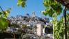 Altea la Vella backs local businesses