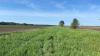 Area leaders urge suspension of Midwest Continental Divide Trail in St. Joseph County