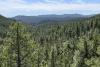 Forest Service and state of South Dakota sign agreement to work together on forest management
