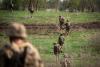 Ukrainian Defense Forces have Liberated Six Settlements in the Dnipropetrovsk Region