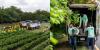 El Salvador Expands Nationwide Reforestation Campaign With New Tree-Planting Events Under #MOPVerde