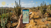 5 Curated Aruba Driving Maps for Your Phone (Free)