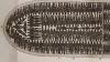 Jamaica to receive £450,000 for Transatlantic Slavery research