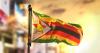 NICK BINEDELL | Can Zimbabwe find its way back from the economic abyss?