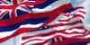 Hawaii candidate knocked out cold after allegedly threatening couple on beach: report
