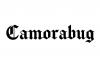 There is a shipwreck at the bottom of the Caribbean containing an estimated 20 b…