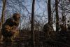 General Staff: Russia has lost 1,455,420 troops in Ukraine since Feb. 24, 2022
