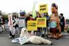 The watershed legal moment that could drown Australia in climate reparations