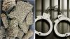 Chennai Man Held By Mumbai Customs For Smuggling Weed & Hashish From Bangkok