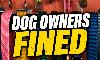 Dog Owners Charged After Pack Attack Kills Dog at Taylor Bay Beach