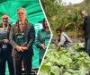 WORLD BANK BACKS AGRICULTURE IN PNG