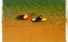 Guam’s base beaches beautiful getaways