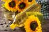 Sunflower oil imports to Cyprus: Ranking of key supplier countries
