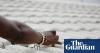 Better sleep, improved health, happier people: how ‘cool roofs’ could help millions avoid deadly heat