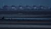 Energoatom; Zaporizhzhia NPP lost external power twice on Aug 8