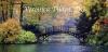 Focus On Vibrant Health – Health Effects of Microplastics