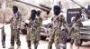 ‘Three ISWAP lieutenants’ killed by US, Nigerian forces