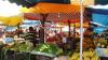 The Urgent Need for True Food Sovereignty