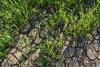 Missouri DNR maps northeast Missouri groundwater sources to boost drought resilience