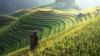 Members discuss agriculture domestic support, impact of El Nino and Middle East conflict