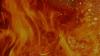 Maryland Fire in Sun Valley contained at half an acre