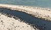Oil Spill Turns Iran's 'Maldives' Black