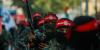 The Media Ignores Palestinian Violence and Terrorism in the West Bank