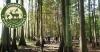 LDWF and LDAF Launch Louisiana Forestry Initiative to Support Private Landowners