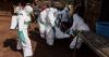 Ebola outbreak may have started at beginning of year and spread 'unchecked for months'