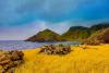This 5-square-mile Island Is Called the 'Unspoiled Queen of the Caribbean'—and It Has No Traffic Lights, One Main Road, and a Stunning National Marine Park