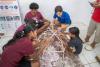 Angaur students embrace marine science through PICRC outreach program