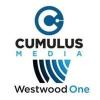 Despite Heavy TV Spend, AM/FM Radio Ads Outperform.