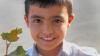 Turkmenistan cotton bans urged as findings suggest forced labour persists