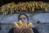 Climate phenomenon: Fears of hunger overwhelm Guatemalan village as El Nino approaches