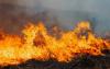 Idaho Power equipment sparked Mountain Home wildfire that destroyed 15 homes
