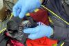 Hidden in underwear: CBP seizes nearly $100K from Dulles travelers