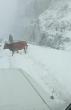 SNOW, SEVERE COLD EXPECTED IN THE HIGHLANDS