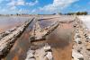 Salt Cay: The Island We Abandoned — And the One We Need to Reclaim