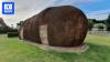 Robertson's Big Potato 'safe for the time being' amid court appeal
