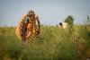 GEF adaptation funds back new projects and 2030 strategy