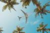 Bonjour Noumea, Fiji Airways is back