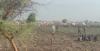 Cattle raid in northern Unity State leaves 14, including children, dead