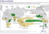 A "Super" El Nino is building in the tropical Pacific Ocean